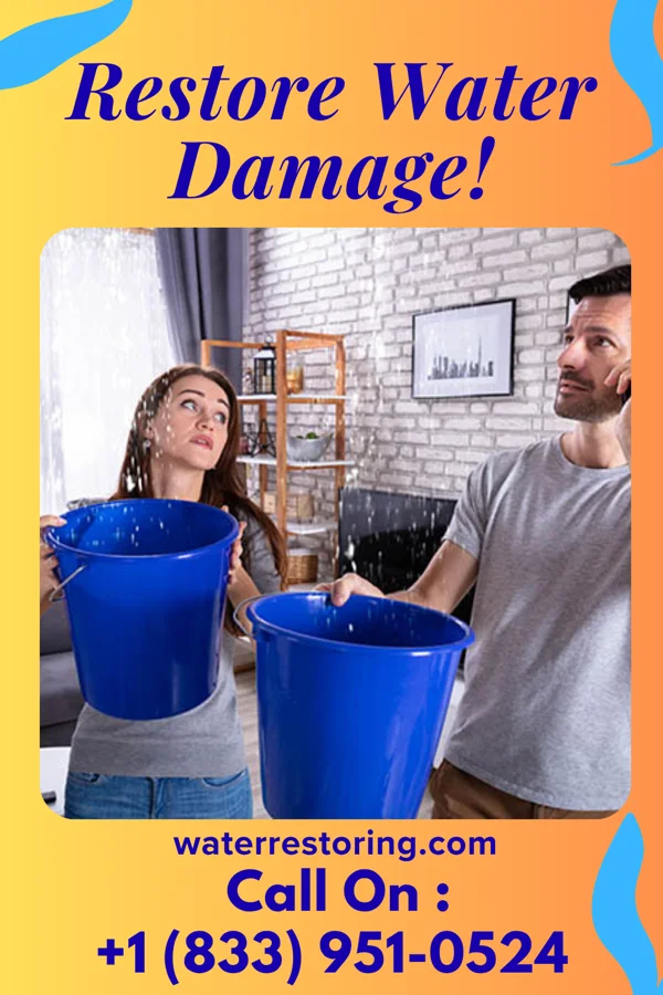 water restoration Zenith Water Damage Masters Blue Ash