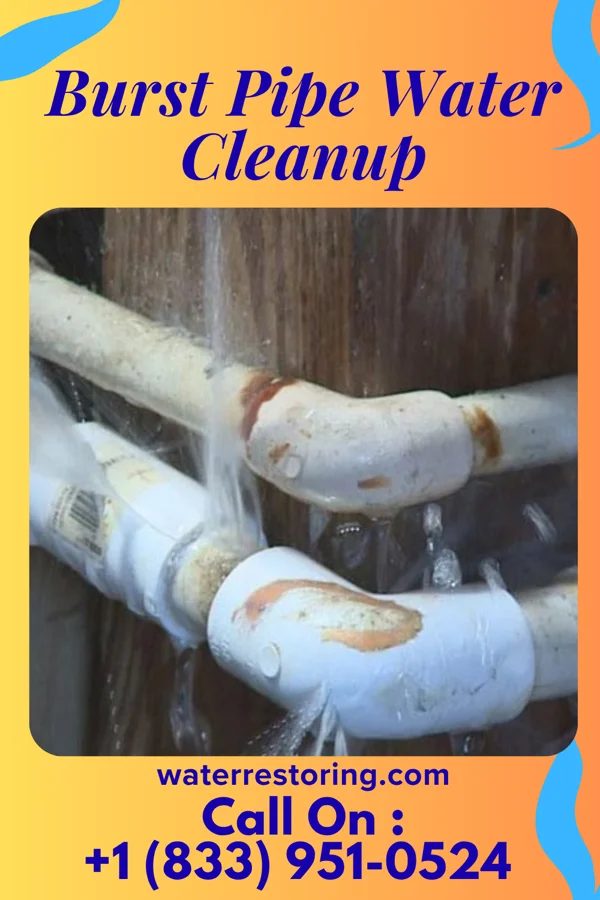 Burst Pipe Water Cleanup in Blue Ash, OH