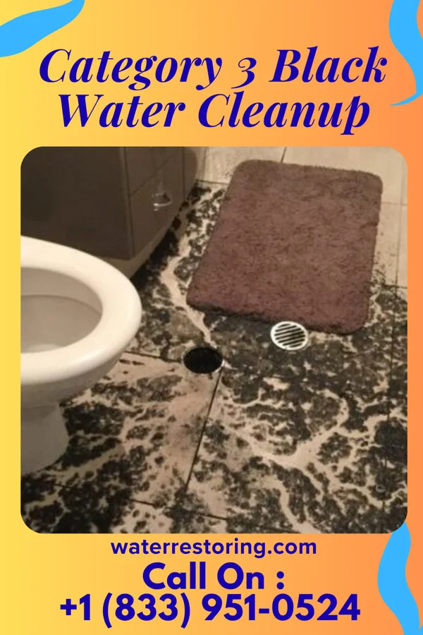 Category 3 Black Water Cleanup in Blue Ash, OH
