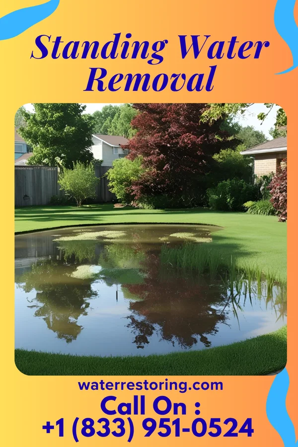 Standing Water Removal in Blue Ash, OH